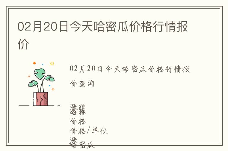 02月20日今天哈密瓜價格行情報價