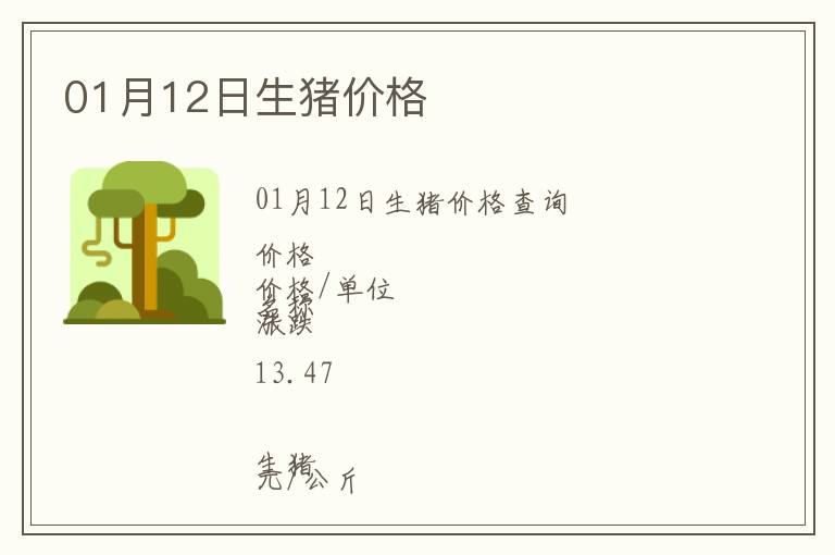 01月12日生豬價格