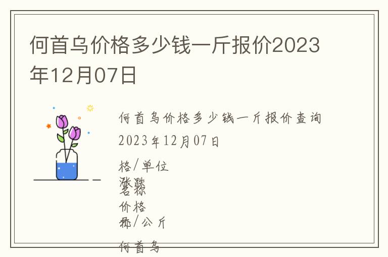 何首烏價格多少錢一斤報價2023年12月07日