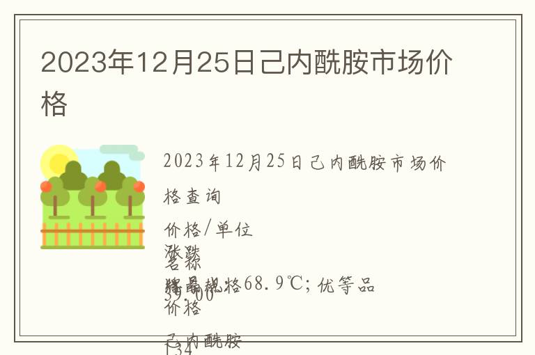 2023年12月25日己內酰胺市場價格