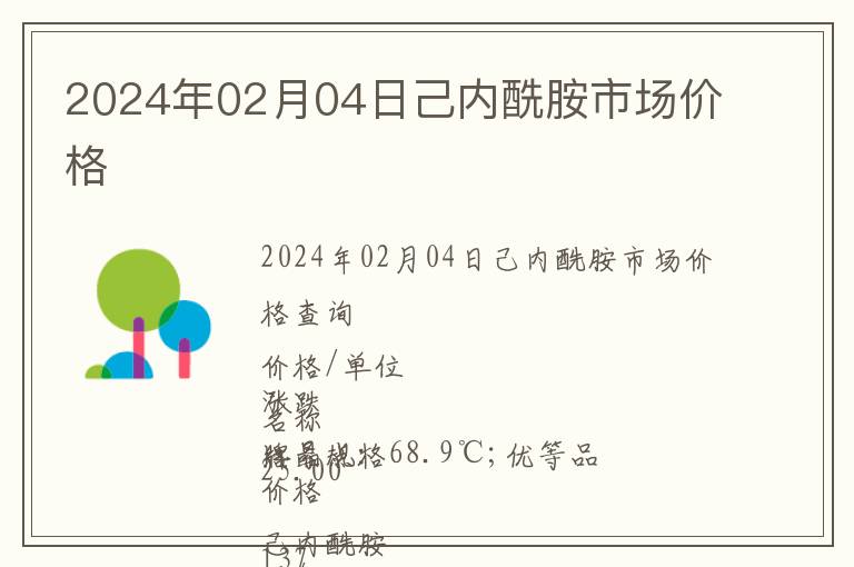 2024年02月04日己內酰胺市場價格
