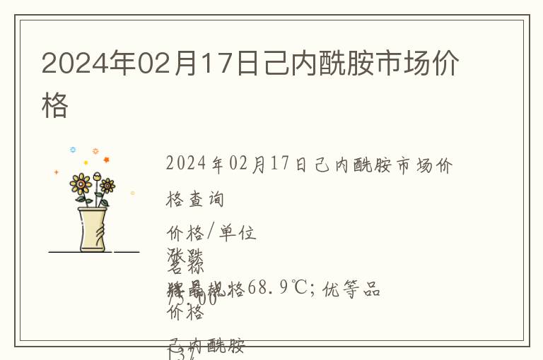 2024年02月17日己內(nèi)酰胺市場(chǎng)價(jià)格