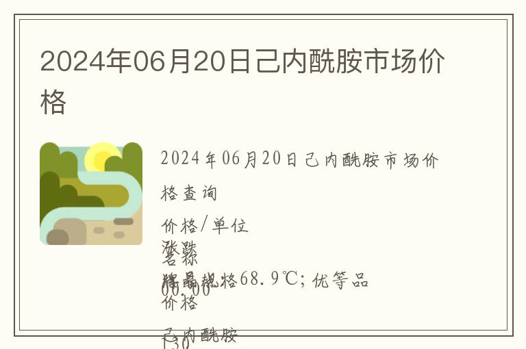 2024年06月20日己內(nèi)酰胺市場價格
