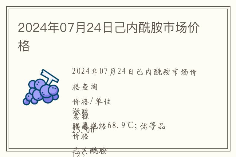 2024年07月24日己內(nèi)酰胺市場價格