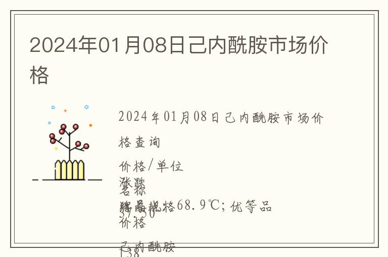 2024年01月08日己內酰胺市場價格
