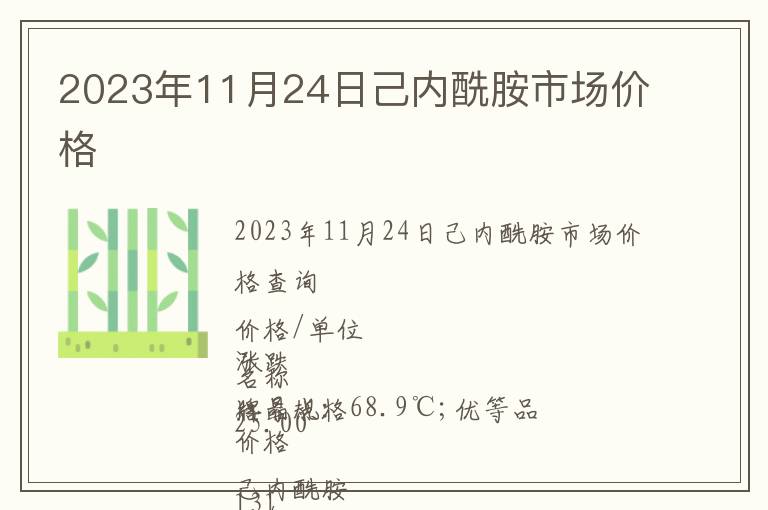 2023年11月24日己內(nèi)酰胺市場價格
