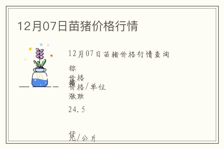 12月07日苗豬價格行情
