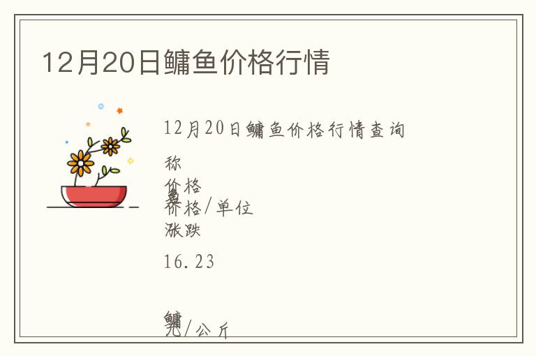 12月20日鳙魚價格行情